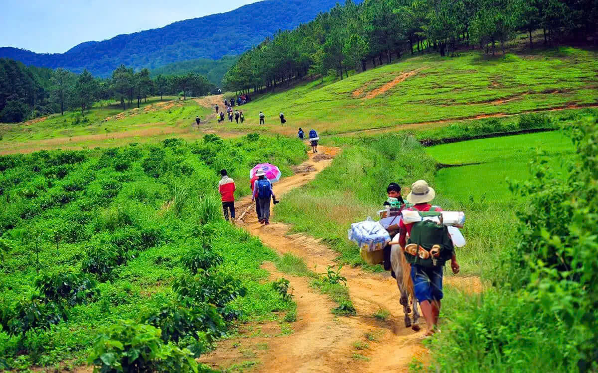 Team Building Trekking