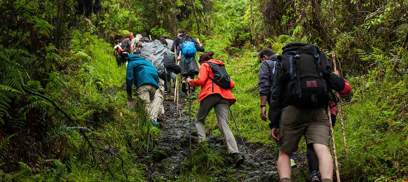 Top 10 vật dụng cần thiết khi đi trekking - nhất định phải bỏ túi