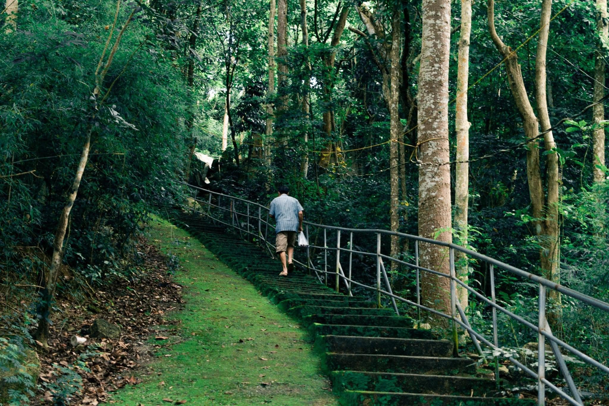 Trekking núi Dinh - cung trekking cực chất gần Sài Gòn