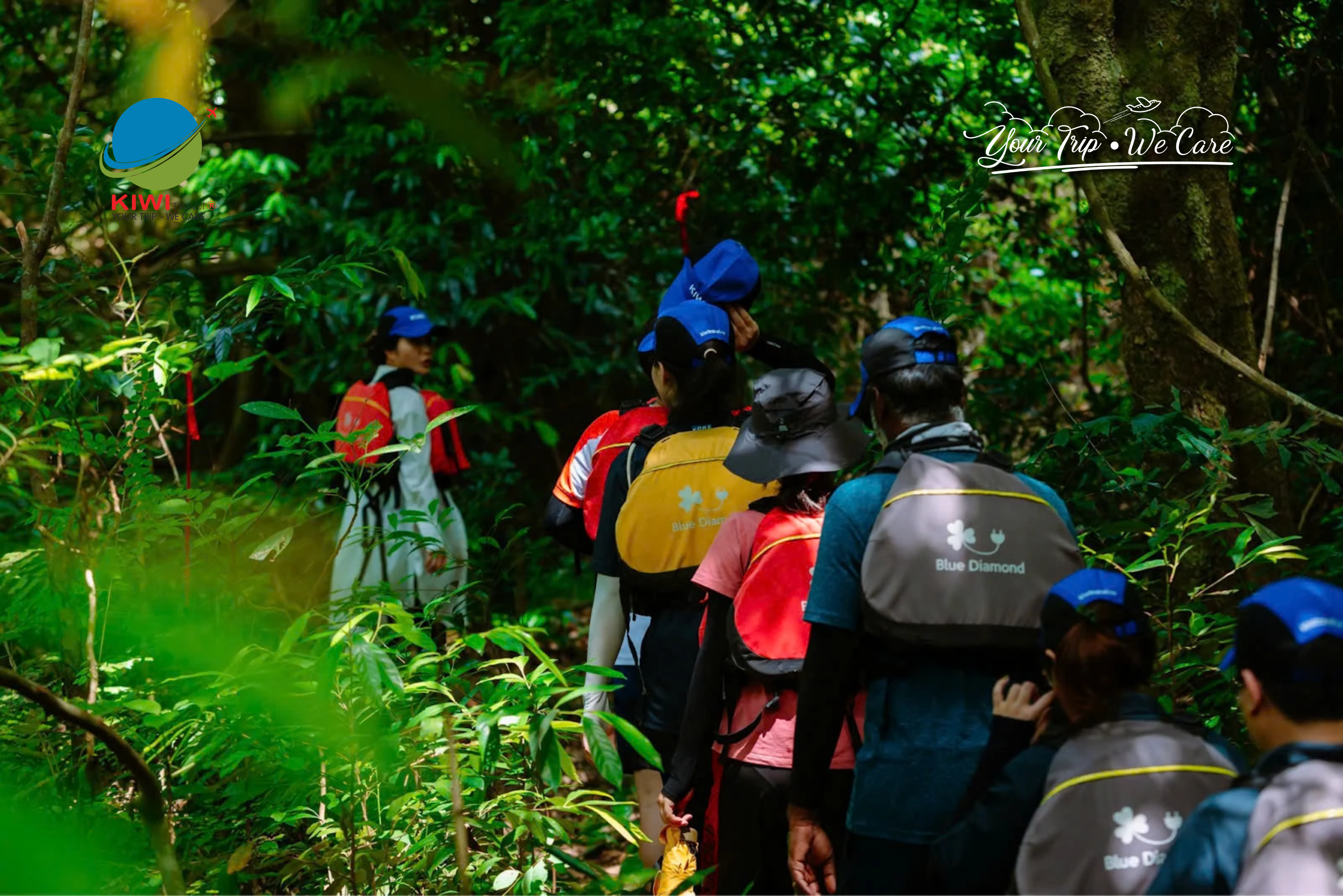 Team Building Trekking: Gắn Kết Đội Nhóm Bằng Thiên Nhiên