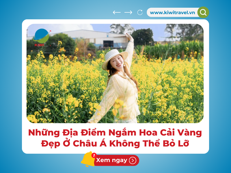 Những Địa Điểm Ngắm Hoa Cải Vàng Đẹp Ở Châu Á Không Thể Bỏ Lỡ