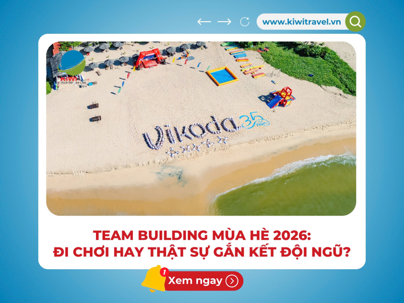 TEAM BUILDING MÙA HÈ 2026: ĐI CHƠI HAY THẬT SỰ GẮN KẾT ĐỘI NGŨ?